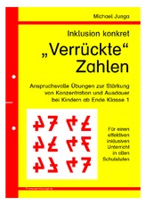 Verrückte Zahlen.pdf